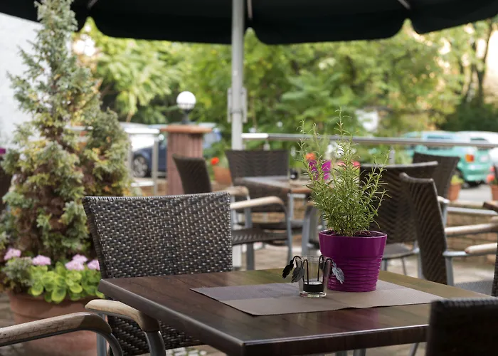 Good Morning + East فندق